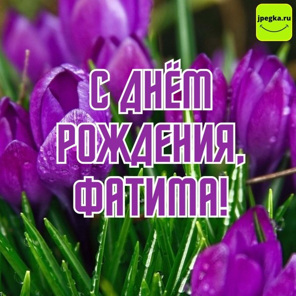 открытки с днём рождения фатима красивые