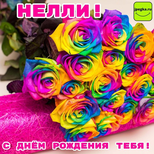 разноцветная роза