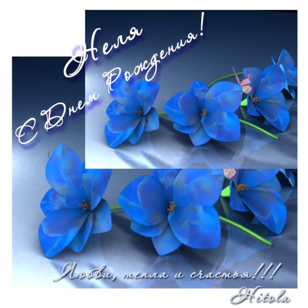 с днём рождения неля открытки красивые