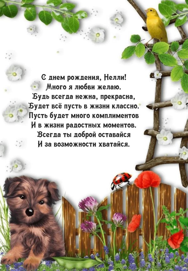 открытка нелли
