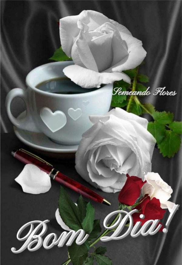 доброе утро с белыми розами