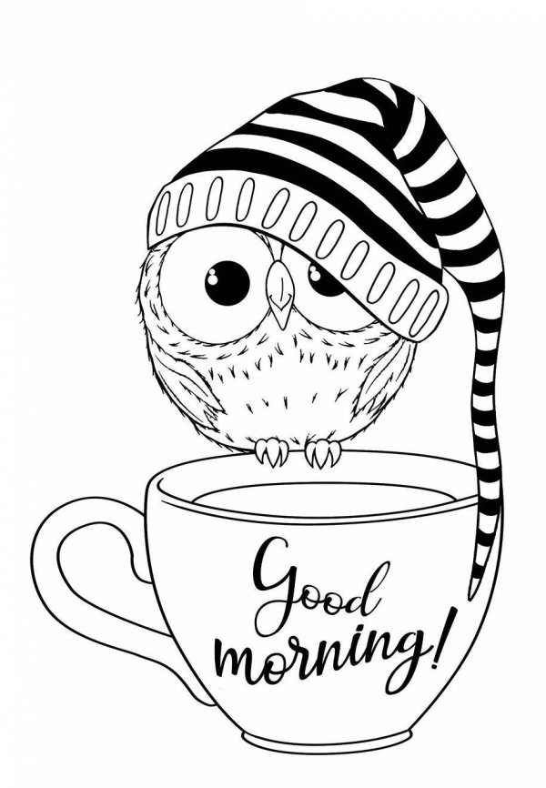 совы мультяшные