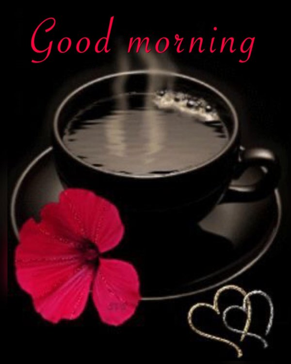 good morning good morning