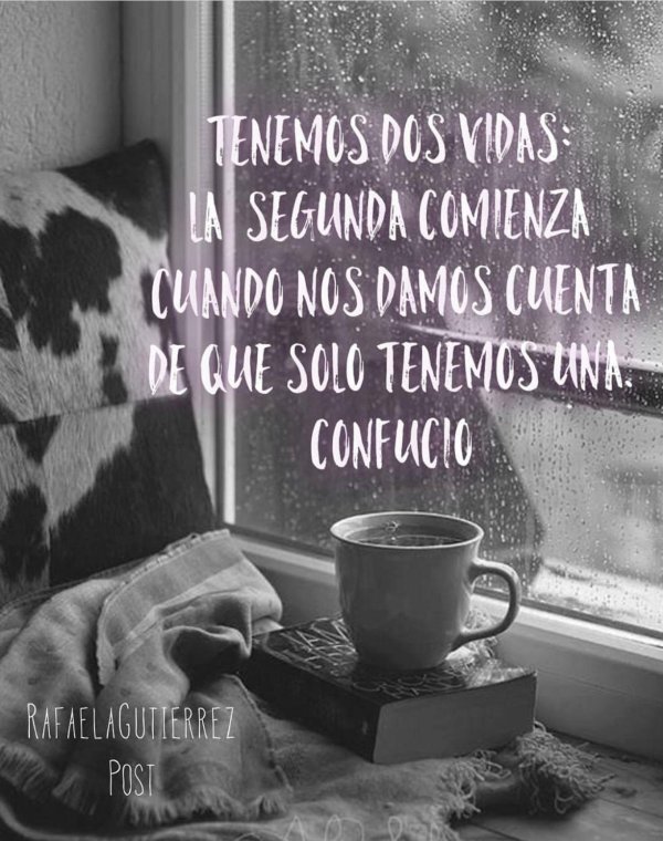 дождливого утра