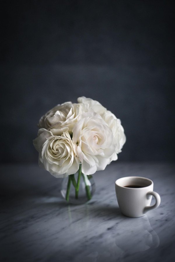 цветы в кружке