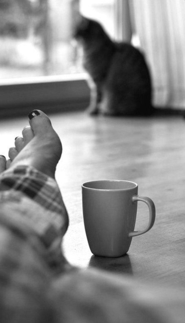 чёрно белое утро