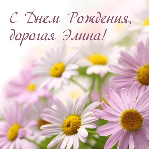 с ромашками