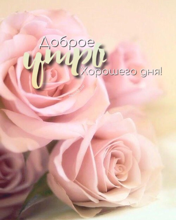 доброго утра красивые