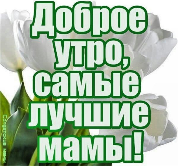 доброго утра мамуля