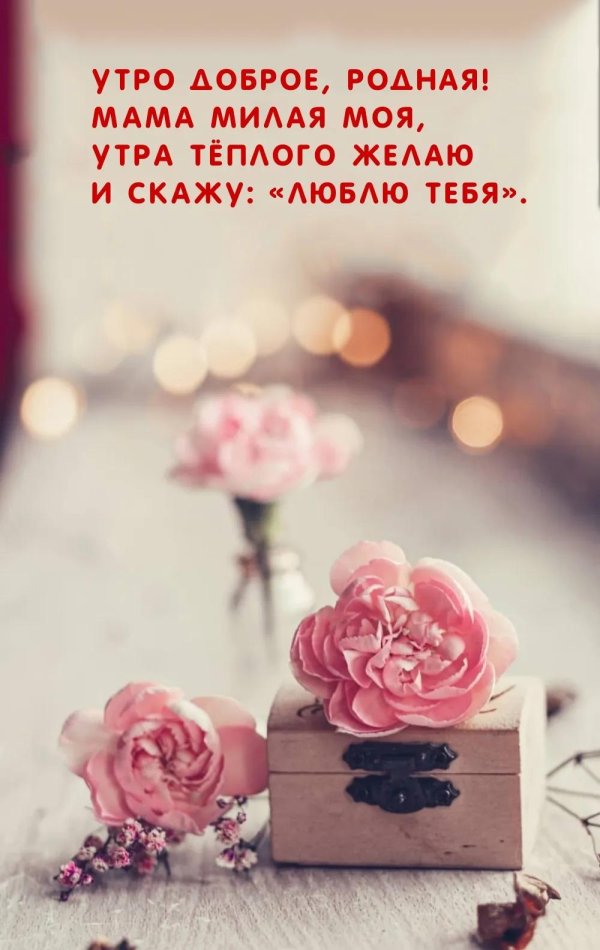 доброе родная