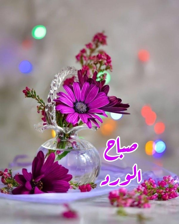 чудесного утра