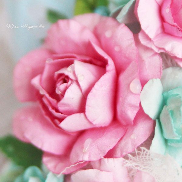 цветы мятного цвета