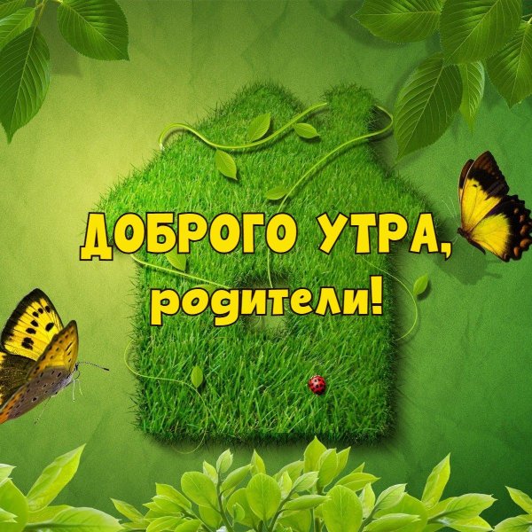 доброе утро родители