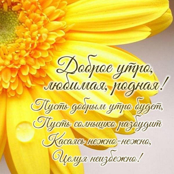 доброе утро родители