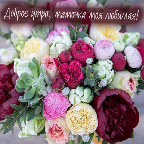 доброе утречко мамулечка