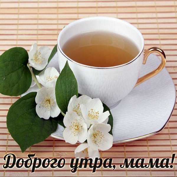 доброго утра мамуля