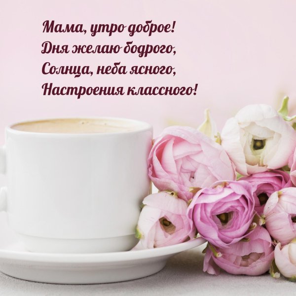 утренние цветы