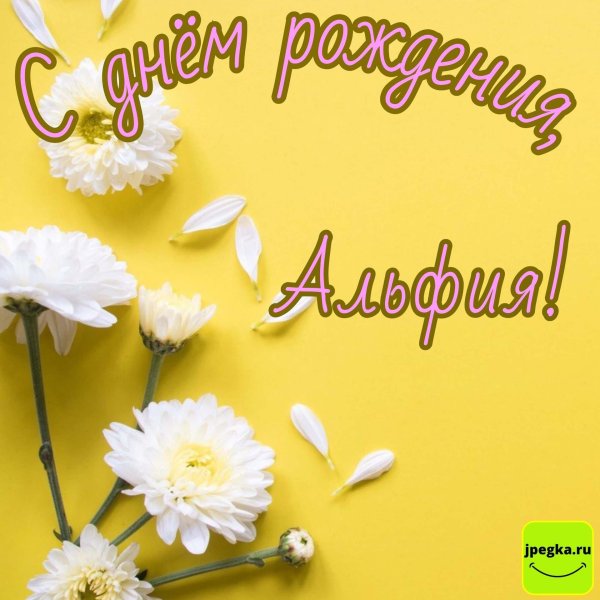 альфия с днем рождения