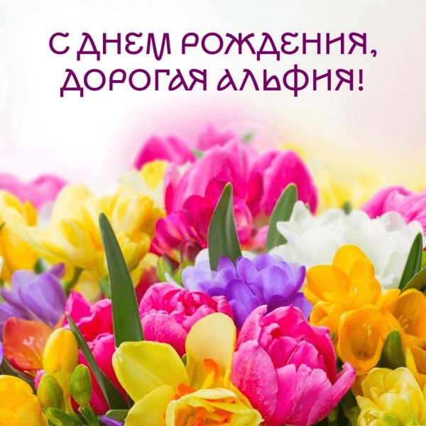 тюльпаны крокусы гиацинты