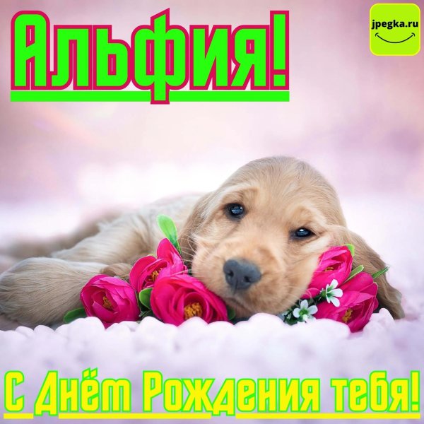 с днём рождения альфия открытки красивые