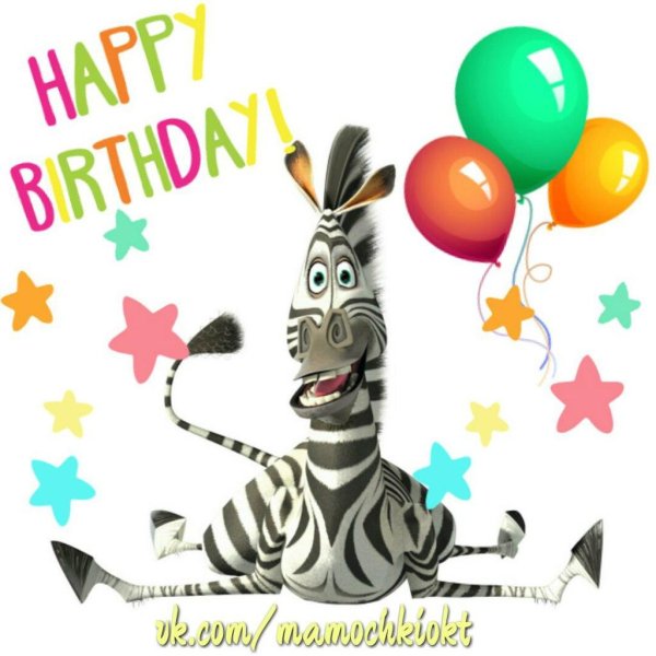 зебра марти