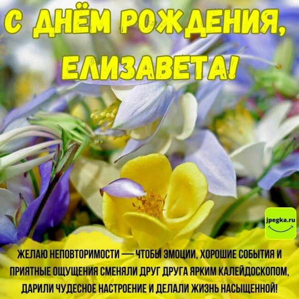 лиза с днем рождения