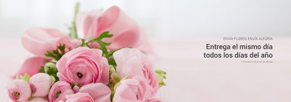 ранункулюс оранж