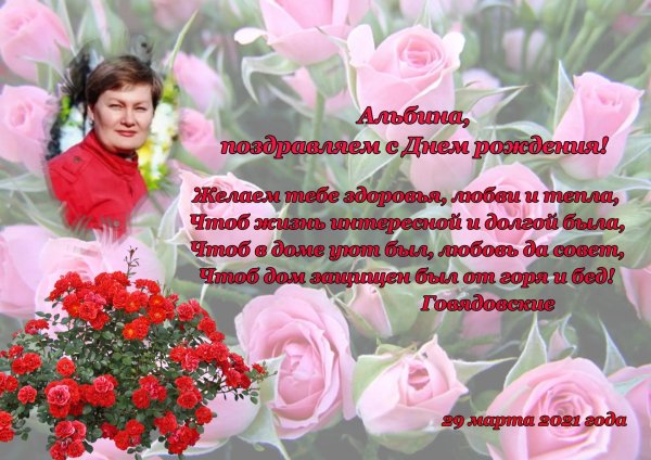 с днём рождения альбина красивые поздравления