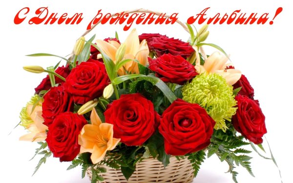 с днем рождения альбина