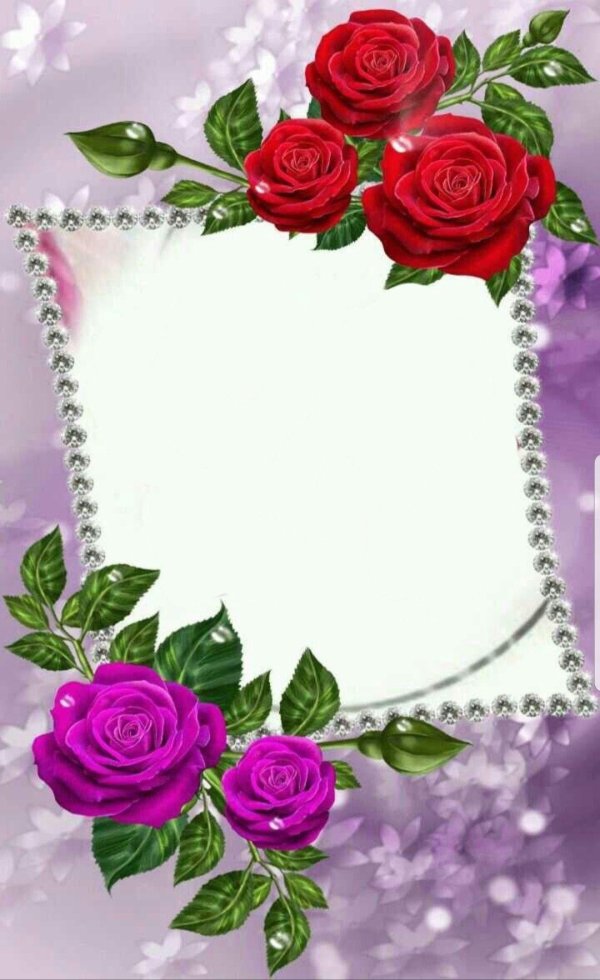 красивая рамка для поздравления