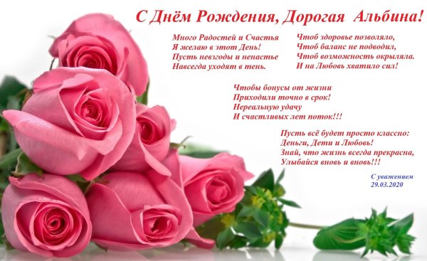 примавера роза