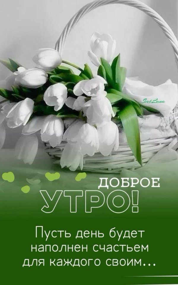 доброе весеннее утро позитивные пожелания