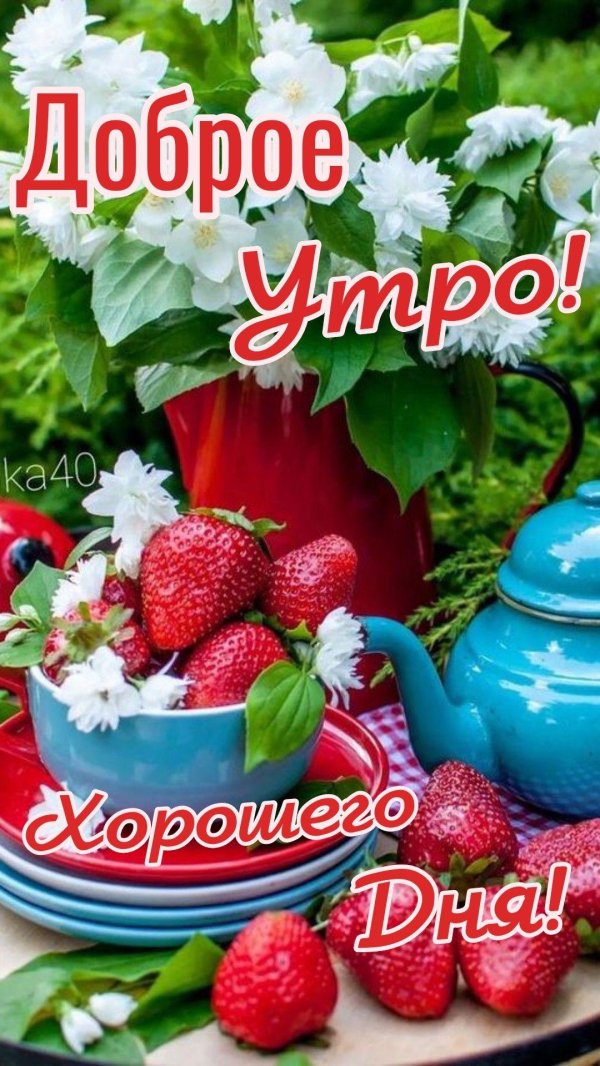 летнее утро доброе