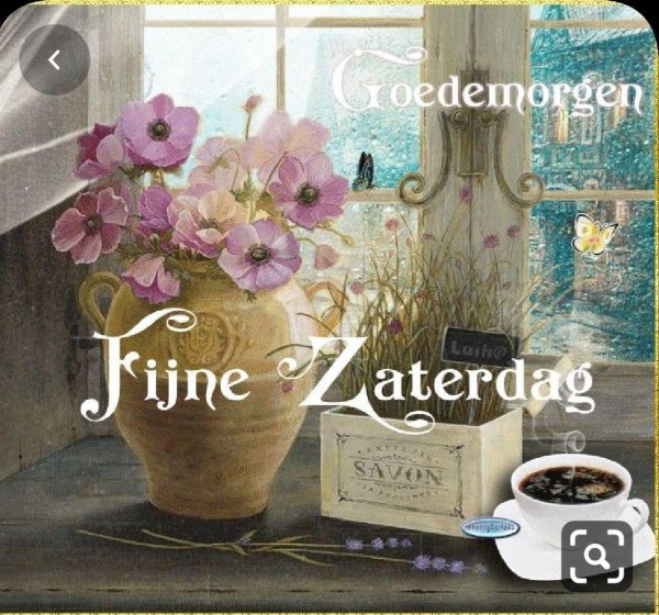 angela staehling художник прованса