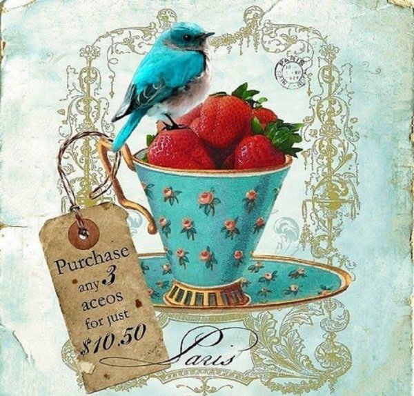 клубника строуберри