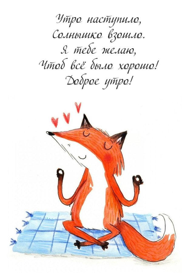 смешной лис