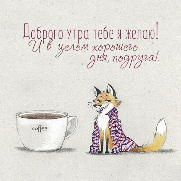 утренняя лиса