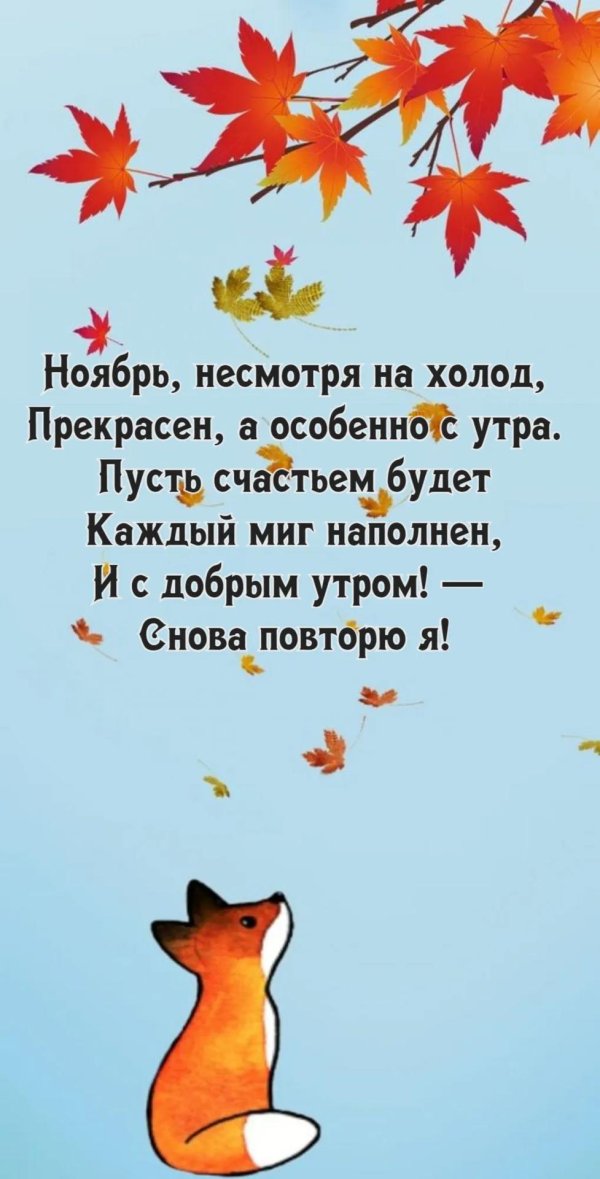 доброго ноябрьского утра