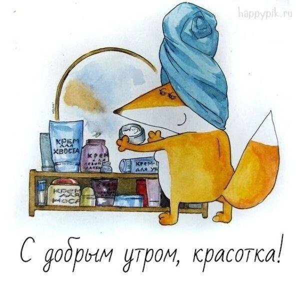 лиса завтракает