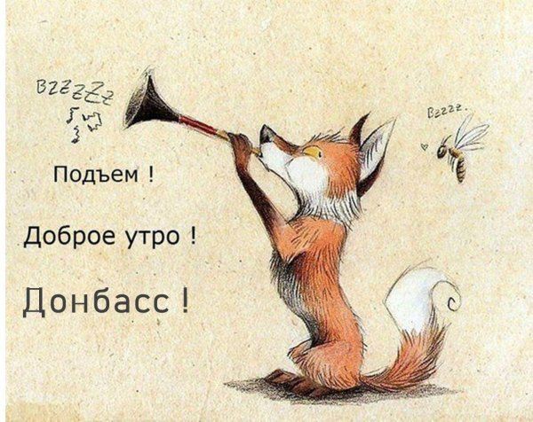 смешные лисы рисунки