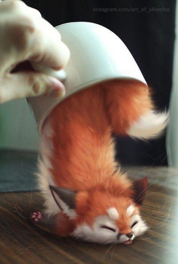 лисенок в кружке