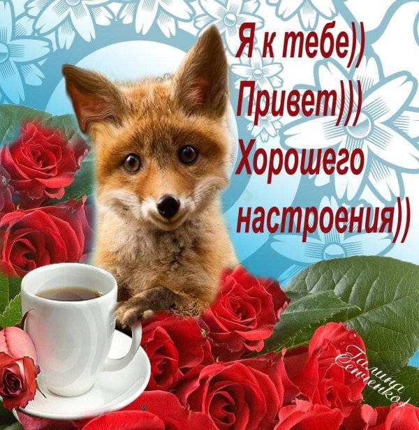 хорошего дня лисенок