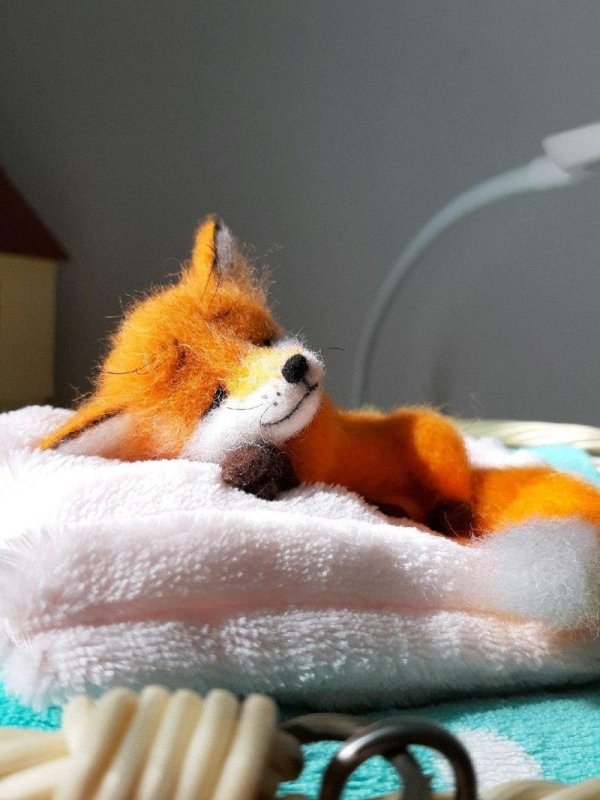 лисичка спит