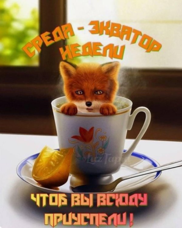 Доброе утро с лисичкой