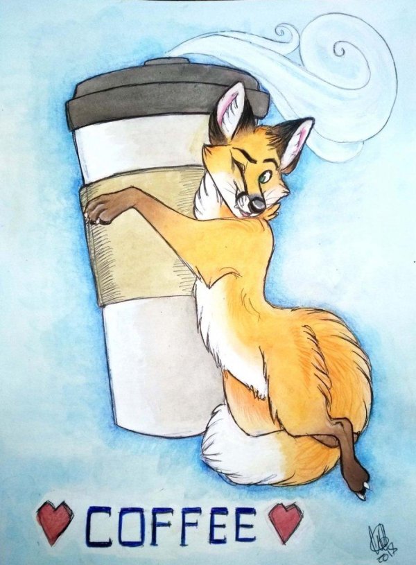 лисичка с кофе