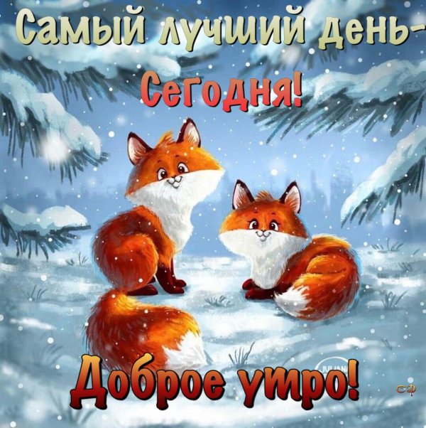 зимние иллюстрации