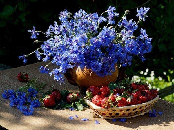 доброе утро с полевыми цветами