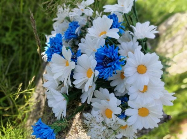 ромашки розы васильки