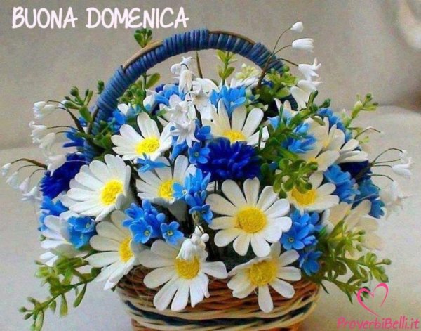 композиция ромашки