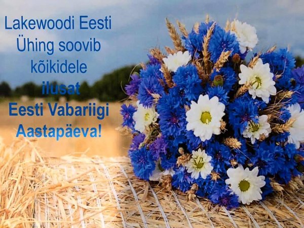 букет васильки